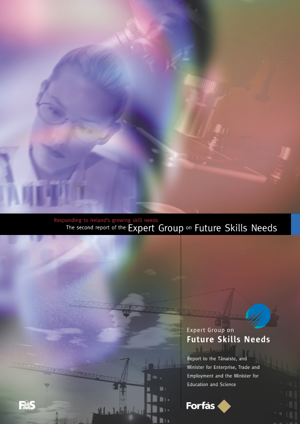 Second Report of the Expert Group on Future Skills Needs